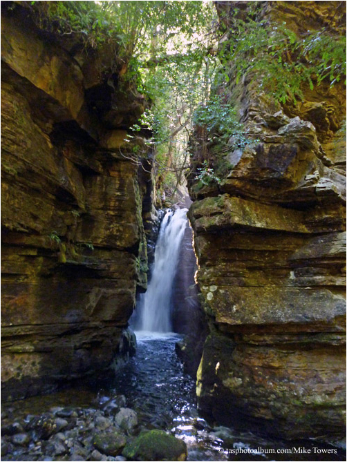 fall on Ladder Creek in Lees Paddocks